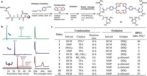 A The Reaction Scheme Of Inter Peptide Porphyrin Construction On