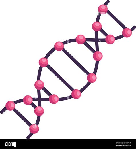 Pink Dna Helix Stock Vector Images Alamy