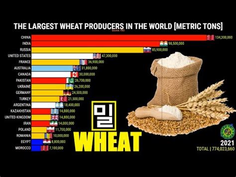 Top Maiores Produtores De Trigo Do Mundo Geografia Total