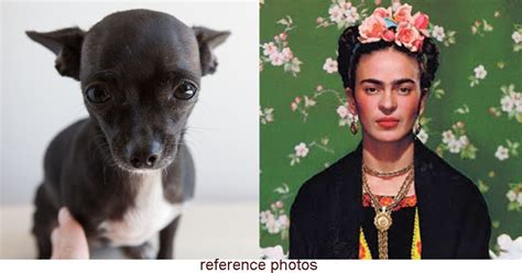 Chihuahua Winnie Is Frida Kahlo Pet Costume Dog Custom Pet Etsy