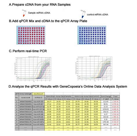 Mirna Qpcr Arrays Mirna Expression Genecopoeia