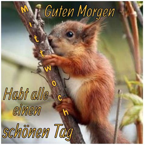 Witzige Guten Morgen Gruse Gb Pics Gbpicsbilder