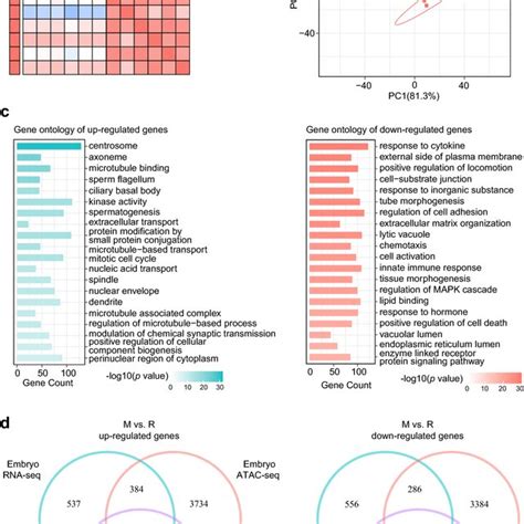 Analysis Of RNA Seq Data From Embryo Chicken Left Gonads A Schematic