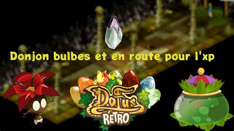 Team random de zéro 3 Donjon bulbes et en route pour l xp DOFUS