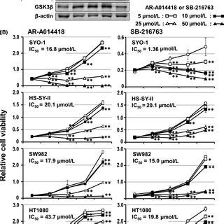 Effects Of Glycogen Synthase Kinase Gsk Inhibition On The