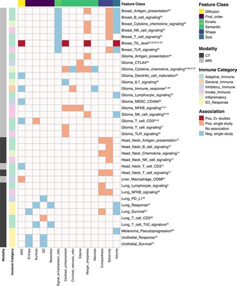 Heatmap Depicting Associations Between Lower Order Radiomic Features On Download Scientific