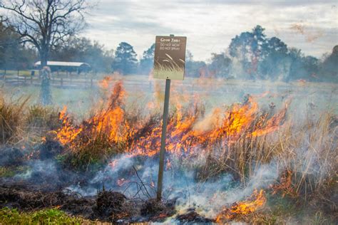 Prescribed Burns