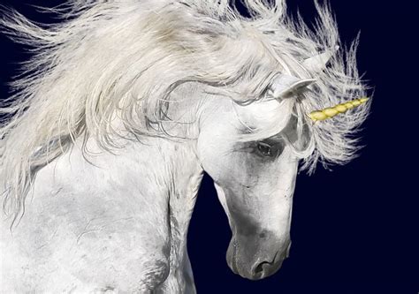 Realistic Unicorn Overlay Majestic Unicorn Png Photograph Etsy