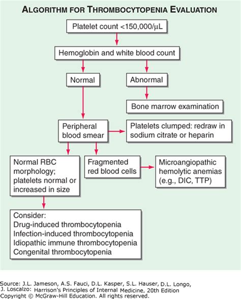 Harrison S Algorithm For Thrombocytopenia Accessmedicine Network