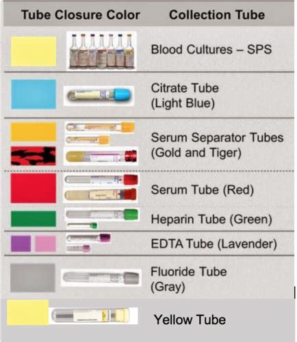 BD Vacutainer Order Of Draw Diagram Quizlet 43 OFF