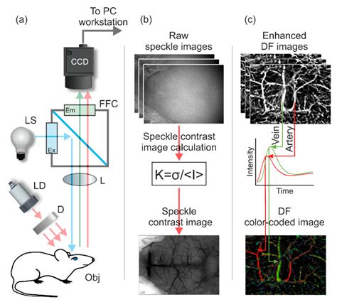 Photonics Free Full Text A Robust Method For Adjustment Of Laser