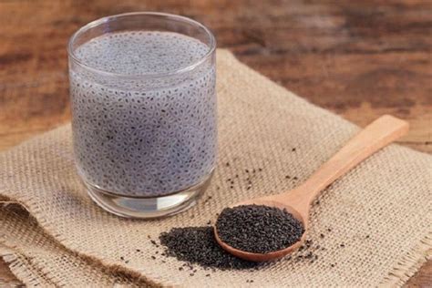 Manfaat Chia Seed Untuk Kesehatan Homecare