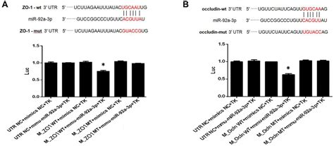 Alisol A Acetate Protects Against Brain Microvascular Endothelial