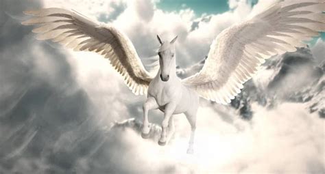 Pegasus Stock Photos, Royalty Free Pegasus Images | Depositphotos