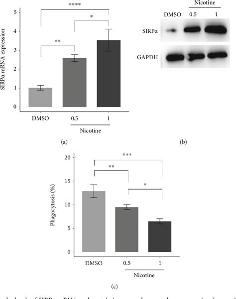 Pdf Nicotine Suppresses Phagocytic Ability Of Macrophages By