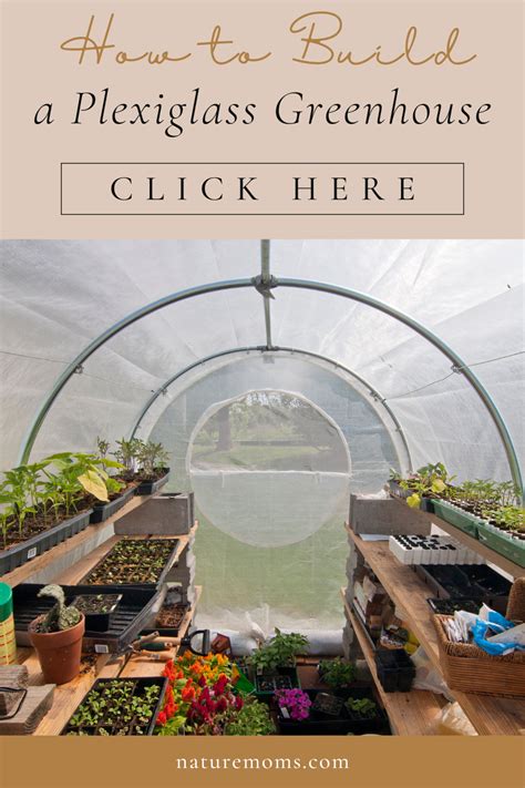 How To Build A Plexiglass Greenhouse Your Step By Step Guide