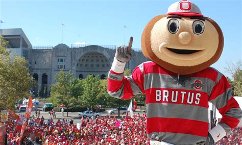 Brutus Buckeye Wallpaper (81+ images)