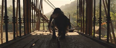 Mowgli: Legend of the Jungle Release Date, News & Reviews - Releases.com