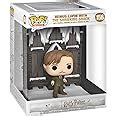 Funko Pop Deluxe Harry Potter Hogsmeade Remus Lupin With The