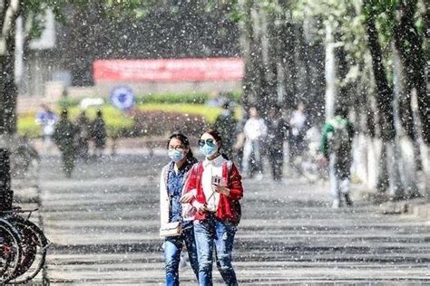 河南现五月飘“雪”奇景！杨絮满天飞，只能靠这一场雨来拯救了