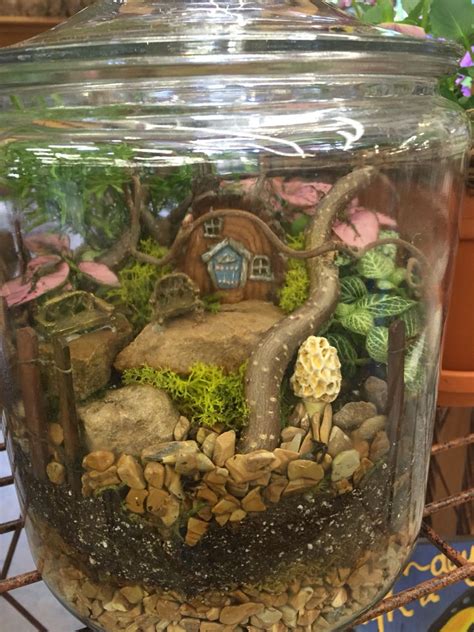 Fairy Terrarium By Kristin Middleton Fairy Terrarium Terrarium