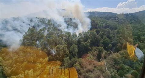 Incendio Forestal Ha Dejado 30 Hectáreas Afectadas En Límites De