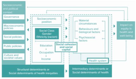 NURS404 W8 Social Determinants Of Health Flashcards Quizlet