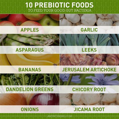 food with good bacteria - Whole Duration Webcast Pictures