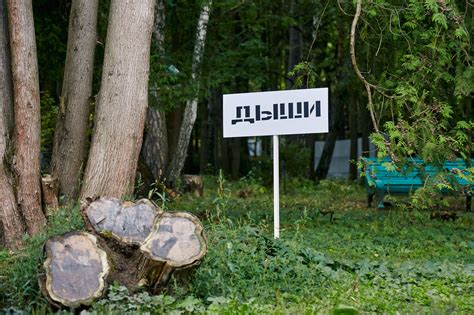 Зачем стоит ехать в Переделкино?
