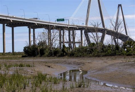 Drum Island restoration part of SC ports agency's effort to go green | Business | postandcourier.com