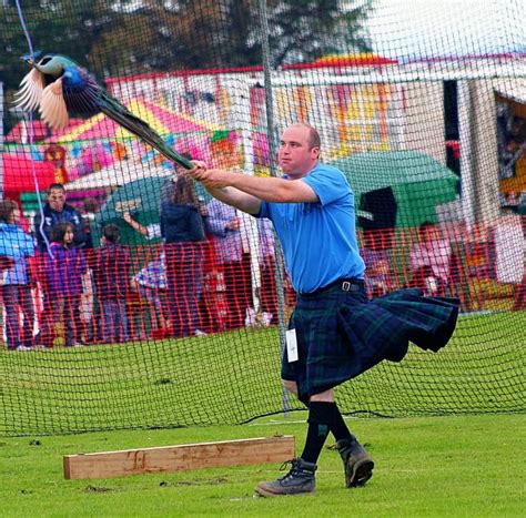 Psbattle Flying Peacock R Photoshopbattles