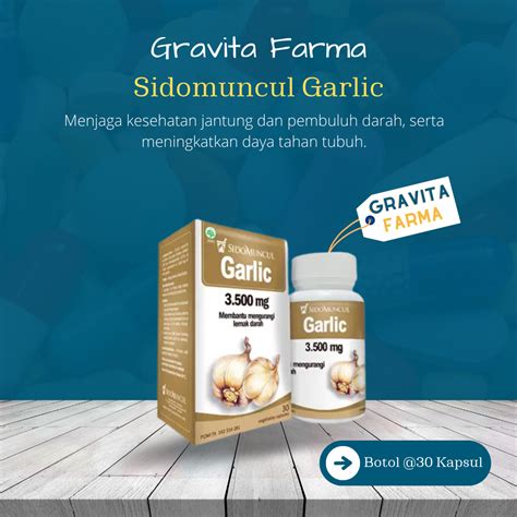 Sidomuncul Garlic Kapsul Lazada Indonesia