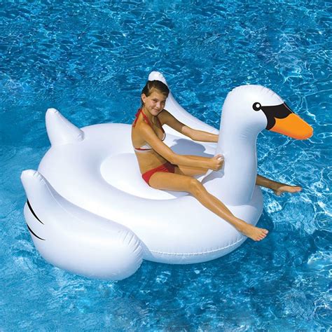 Swimline Giant Swan 75 In Inflatable Ride On Pooltoy Inflatable Pool Toys Giant Swan