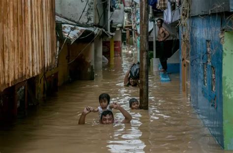 Waspada Leptospirosis Penyakit Yang Rentan Terjadi Saat Banjir