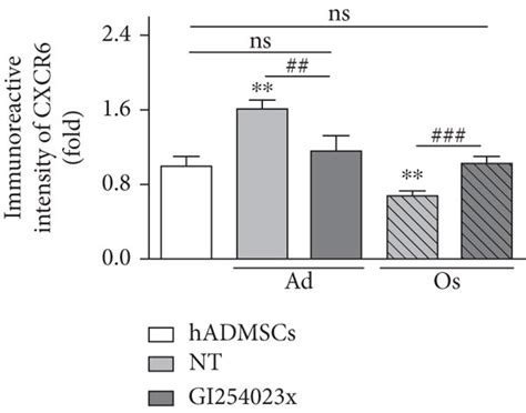 Level Of CXCL16 Secretion And CXCR6 Expression By Inhibition Of ADAM10