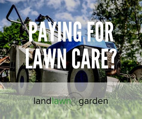 Is It Worth Paying For Lawn Care Detailed Breakdown