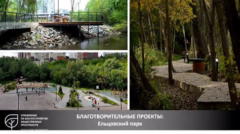 Как преобразились парки Новосибирска в 2023 году и где создадут новые ...