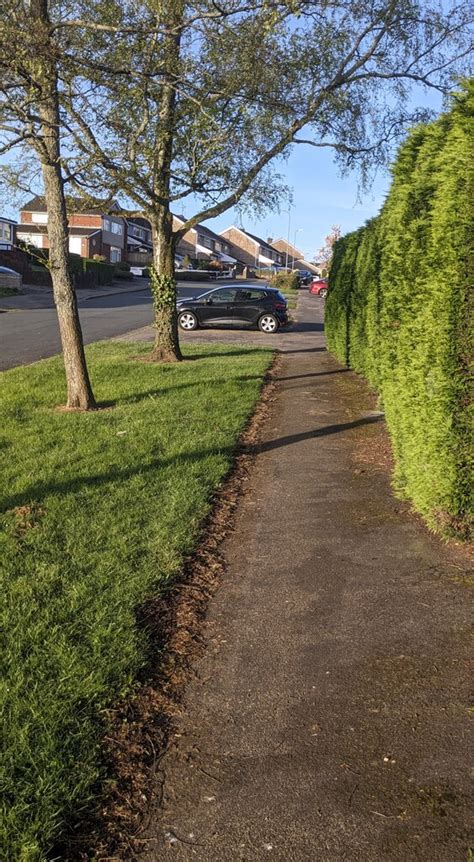 Pavement Between Grass And Hedge Fern Jaggery Geograph Britain