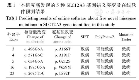 中国gitelman综合征患者的基因型、表型分析及随访研究