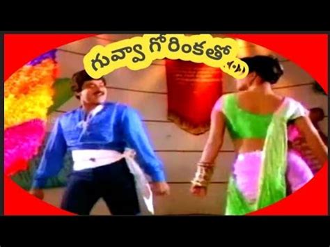 Guvva Gorinkathoo Song Khaidi No Movie Chiranjeevi Bhanu Priya