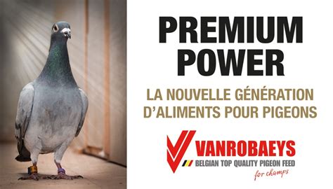 Premium Power Nouvelles Vanrobaeys Mélanges Pigeon Supérieurs