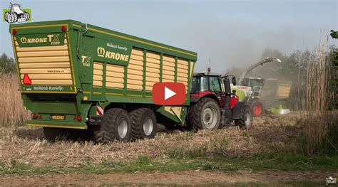 Olifantsgras Hakselen Met De Claas Jaguar 950 En MF Trekkers