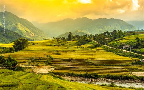 When Is The Best Time To Visit Sapa Vietnam Travel