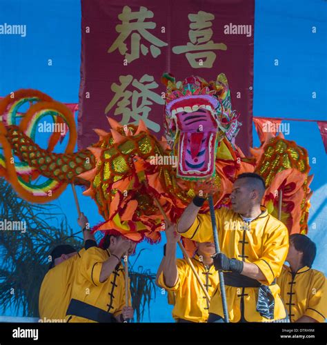 Dragon dance performers during the Chinese New Year celebrations held ...