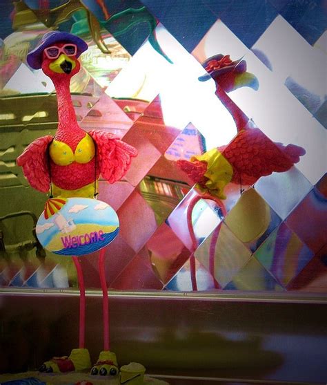 Pink Floyds Flamingo Flamingo Art Pink Flamingos Pink Bird