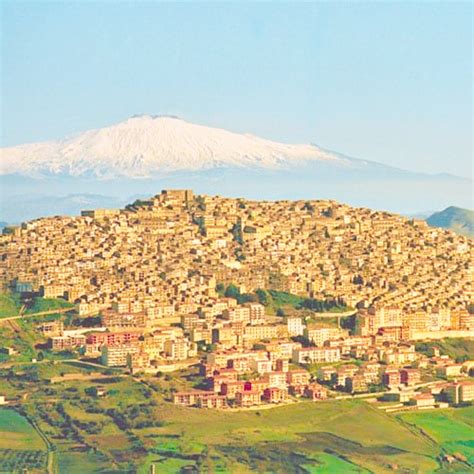 Gangi Il Cane Dei Poretti