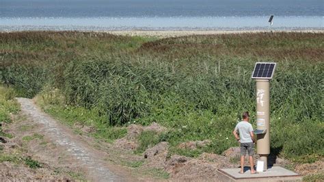 Stoplicht Voor Recreanten Vroege Vogels Bnnvara