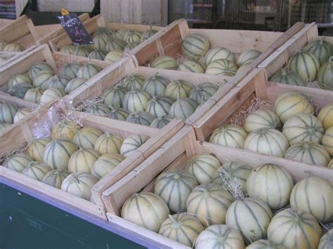 Free picture: charentais, melons