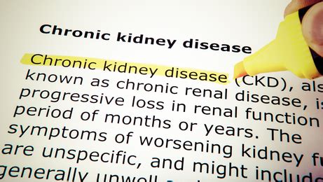 Kidney Disease Treatment: Can Exercise Relieve Kidney Pain?