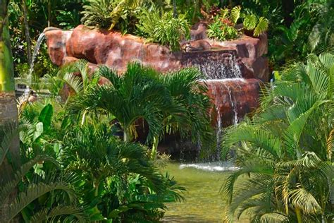 Costa Rica Baldi Hot Springs Day Pass With Optional Meals GetYourGuide